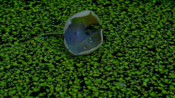 The scenery in the temple 2 The scenery in the temple 2