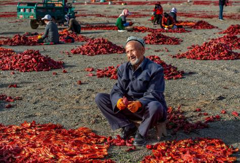 Old man drying peppers Old man drying peppers