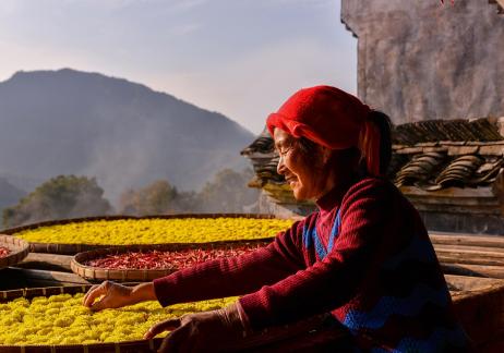 a bumper harvest a bumper harvest