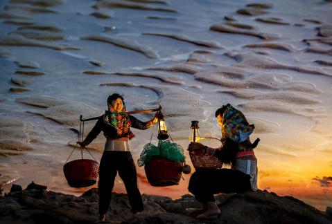 tidal foraging tidal foraging