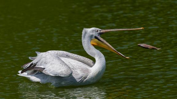 Catch of the day 3 Catch of the day 3