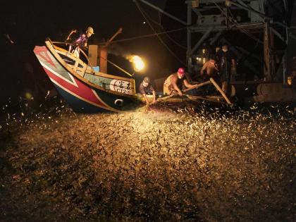 Fishing with fire Fishing with fire