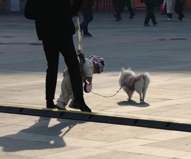 Street scenery 89