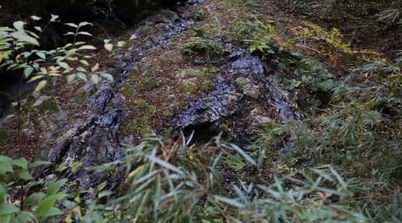 Small stream flow 1