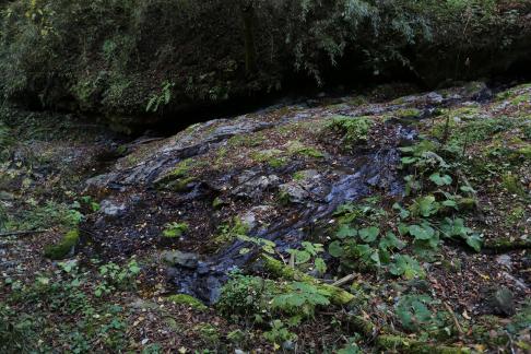 Small stream flow 3