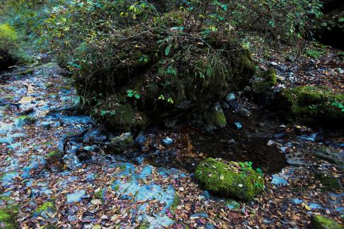 mountain stream 2