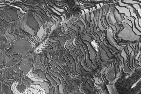Terraced fields scenery 21