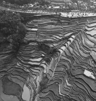 Terraced fields scenery 22