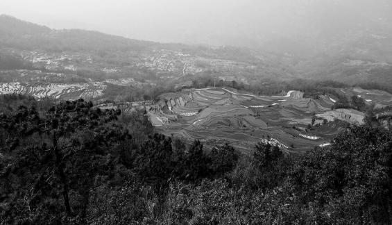 Terraced Fields Holy Scenery 1