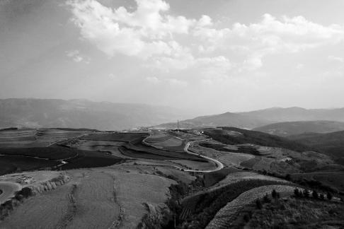 Green Valley Golden Steps 1