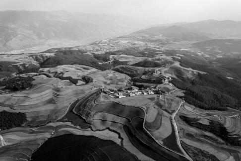 Green Valley Golden Steps 3