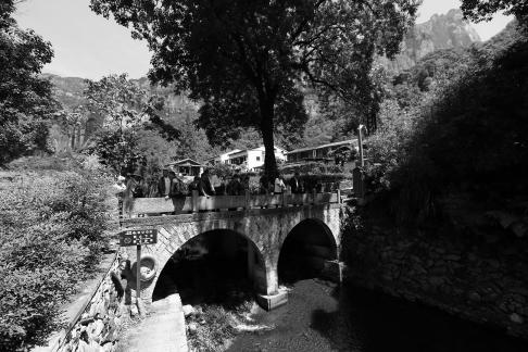 Rural Bridge Leisurely Crossing 2