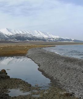 Wilderness Mirror 5
