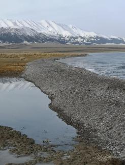 Wilderness Mirror 6