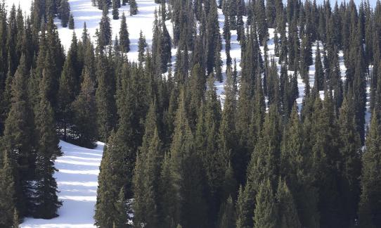 Snowcapped peaks 7