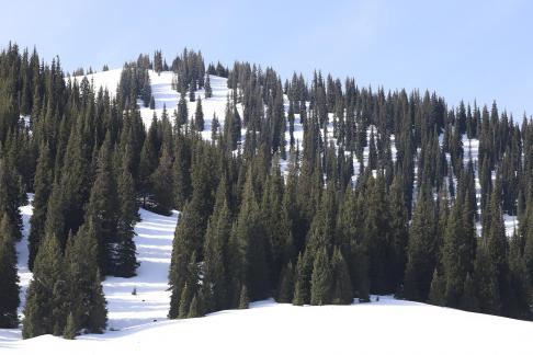 Snowcapped peaks 8