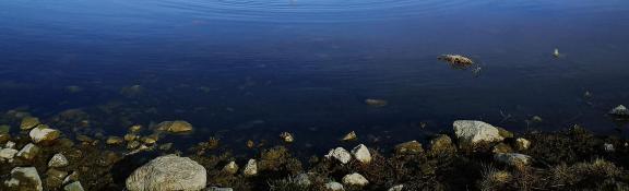 Water and Stone 2