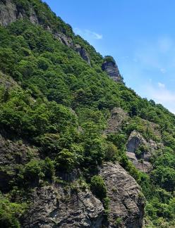 Green Cliff 31