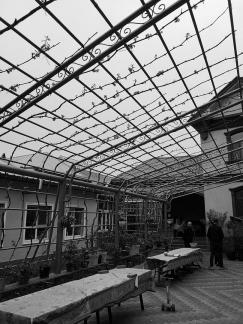 Pavilion geometry 3