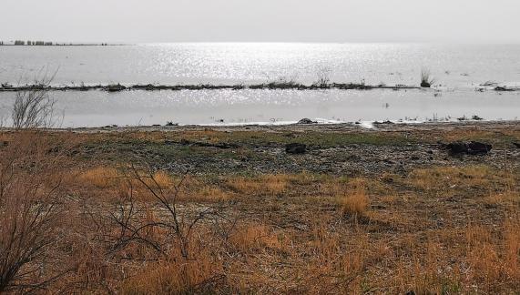 Autumn riverbank 4