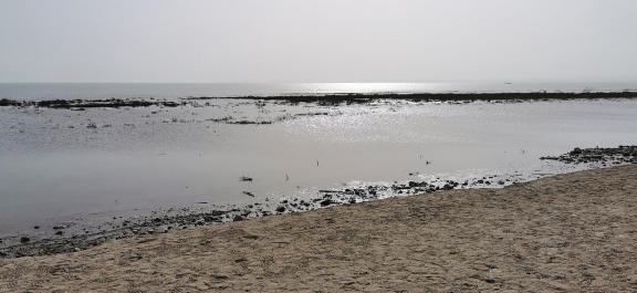 Autumn riverbank 6