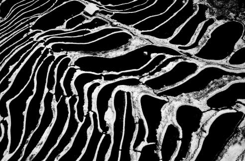 Poetry and Painting Terraces
