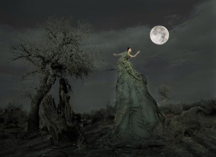 under the moonlight