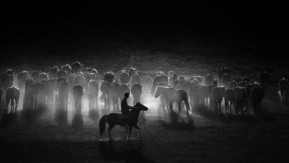 Horse herder