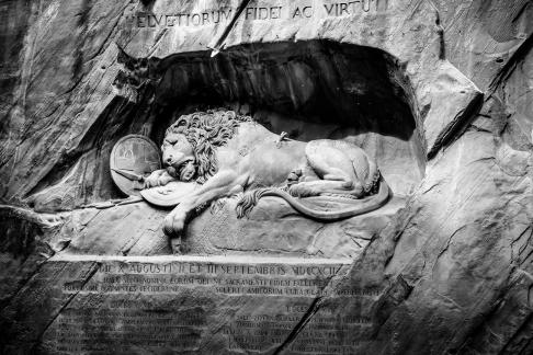Lion image in the west