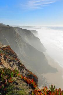 US West Coast - Half Moon Bay Scene
