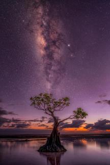Malakiri Beach Milkyway Sumba