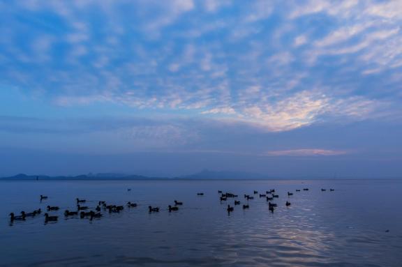 Tranquillity