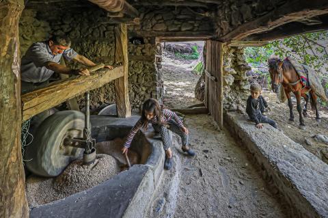 The Voice of the Stone Mill