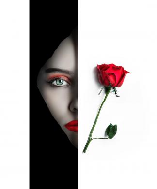Face and the rose