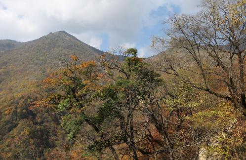 Deep in the mountains 8