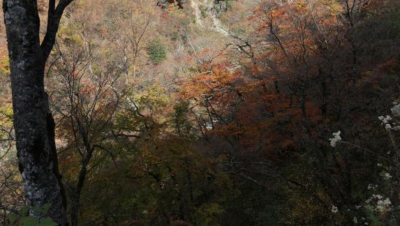 Falling in love with the mountains 