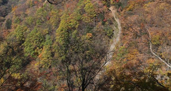 Falling in love withthe mountains11