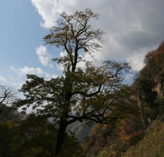 Falling in love withthe mountains12