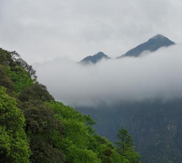 Green curtain hanging clouds 11
