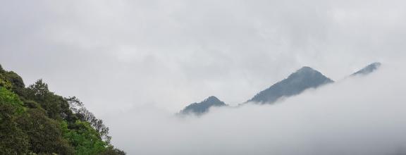 Green curtain hanging clouds 12