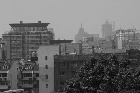 City forest overlapping green 2