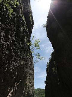 Green between cliffs 4