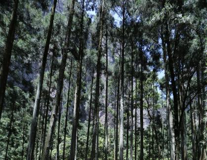 Blue Sky Clear Heart 21