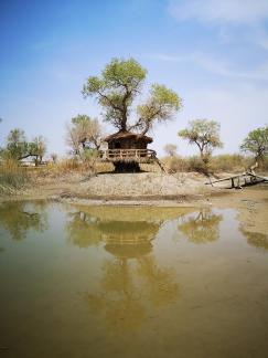 Tears of the Desert Heart 5