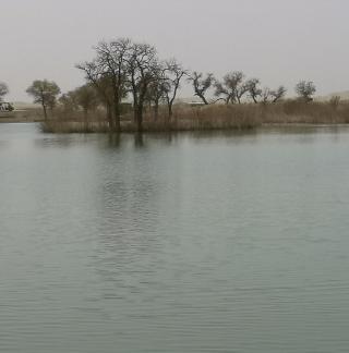 Tears of the Desert Heart 8