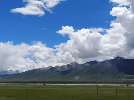 Yunmu Green Field 31