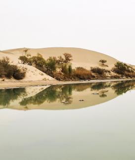 Shallow pond reflecting autumn 7
