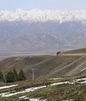 Snowy Ridge Pine Plains 14