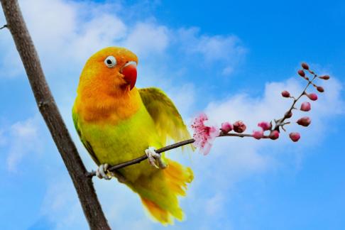 Appreciate the flowers