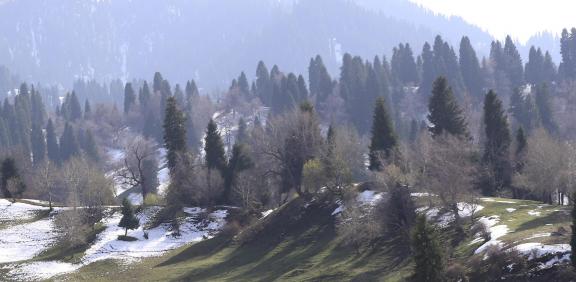 Autumn View of Cold Mountain 18